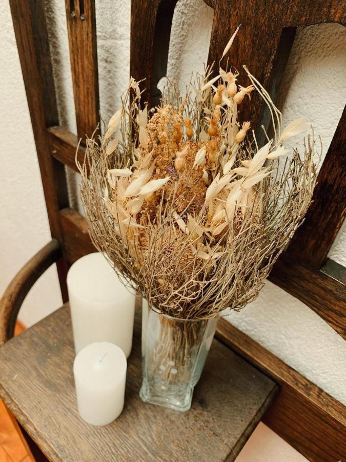 ויז'ה ג'יארדינו Villa La Isolina מראה חיצוני תמונה