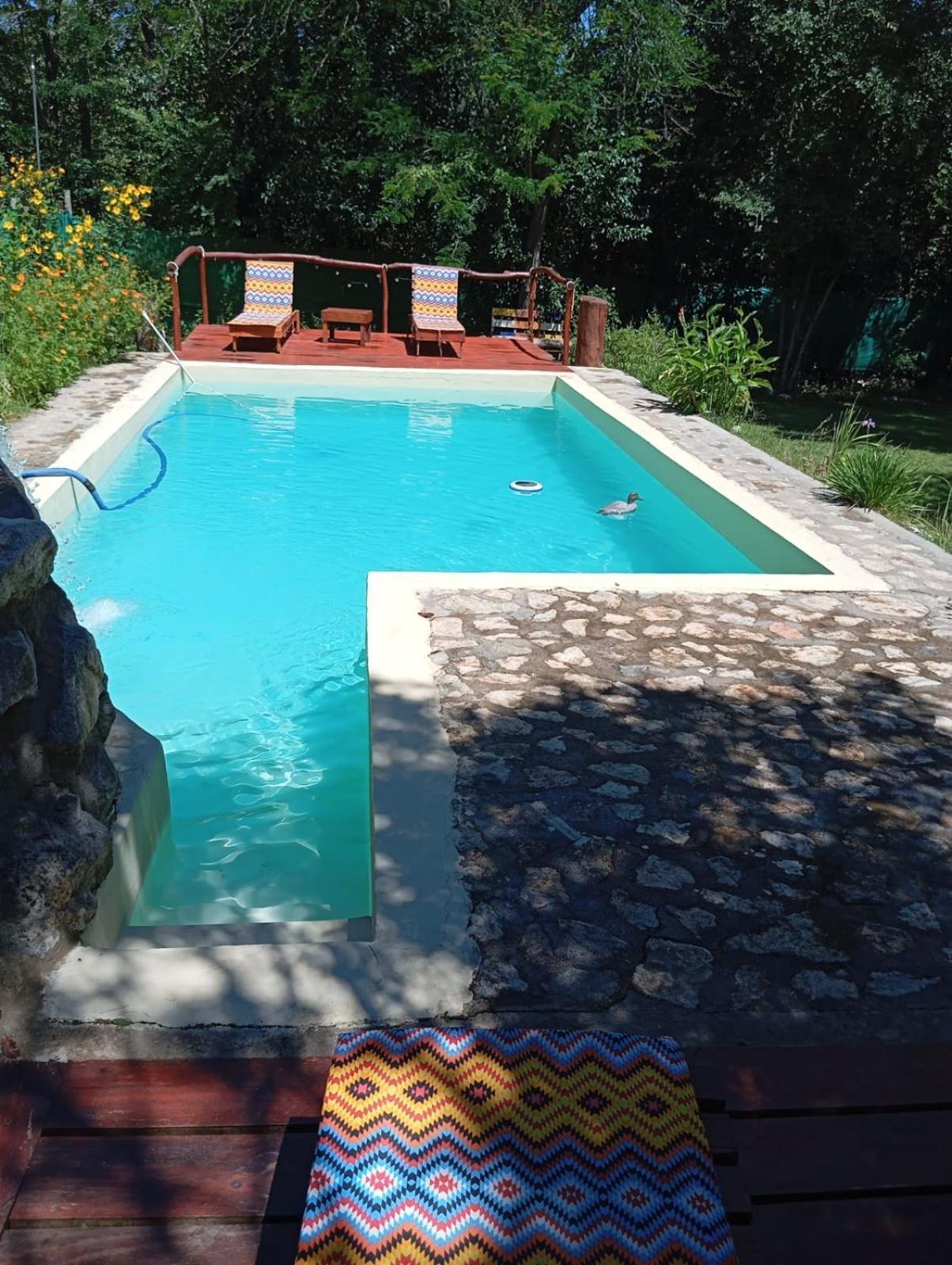 ויז'ה ג'יארדינו Villa La Isolina מראה חיצוני תמונה
