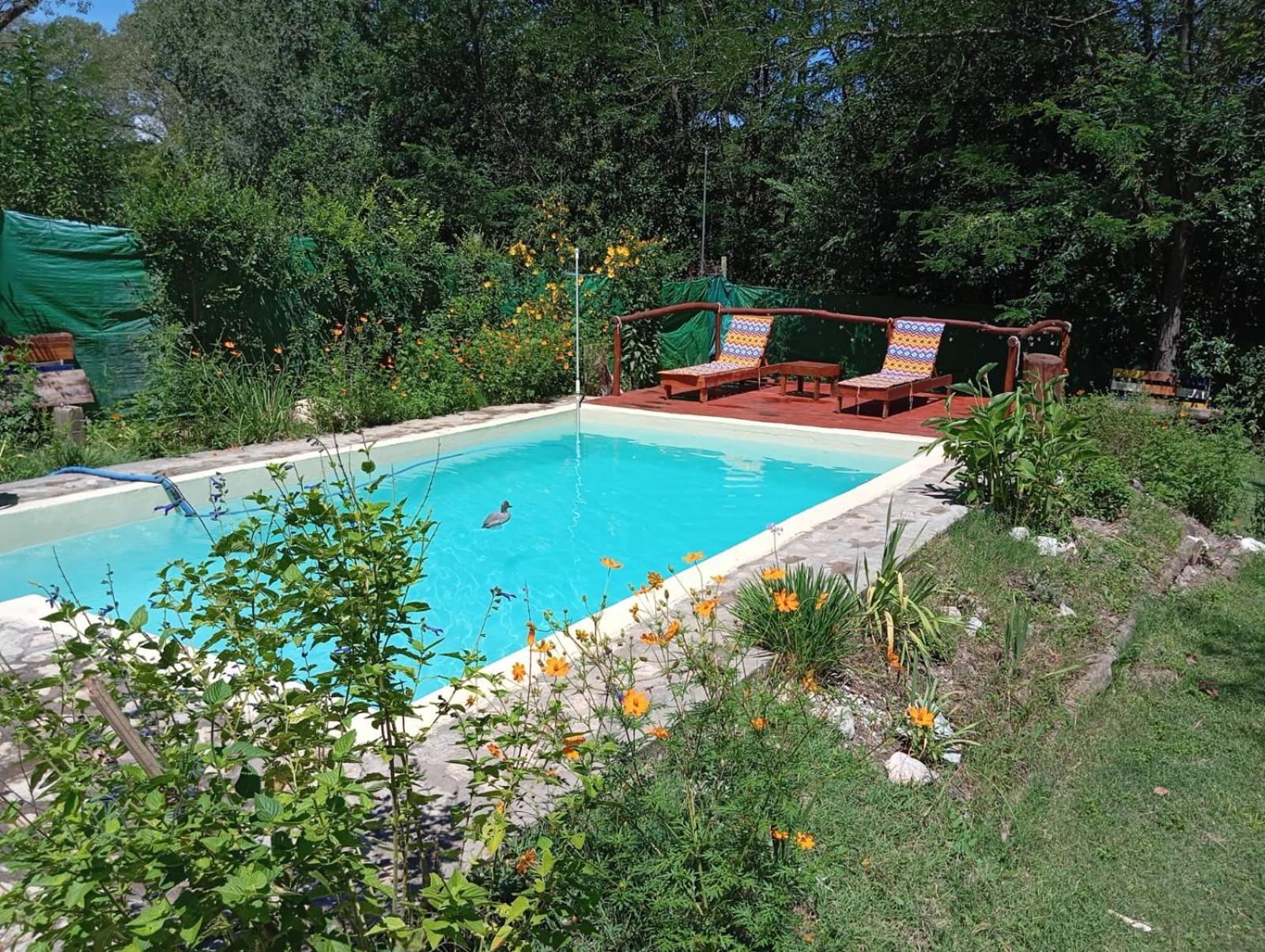 ויז'ה ג'יארדינו Villa La Isolina מראה חיצוני תמונה