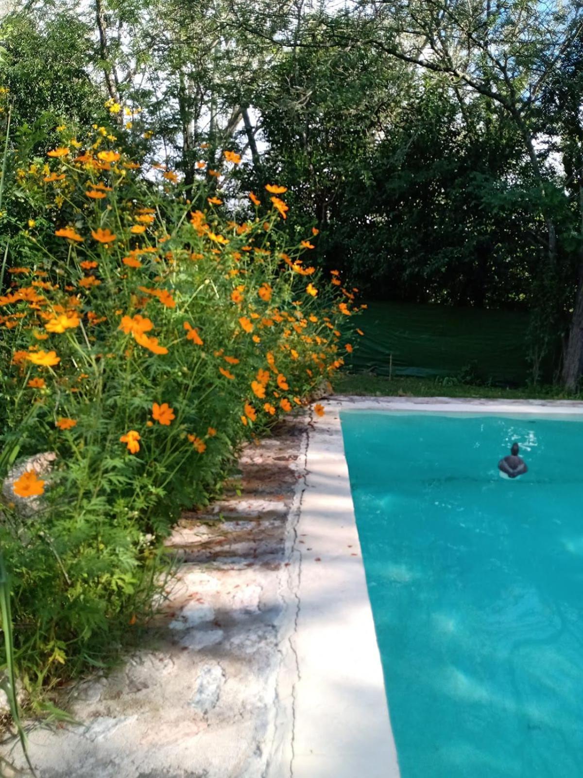 ויז'ה ג'יארדינו Villa La Isolina מראה חיצוני תמונה